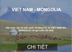 Cước Vận Chuyển Hàng Từ Việt Nam Sang Mongolia, Mông Cổ
